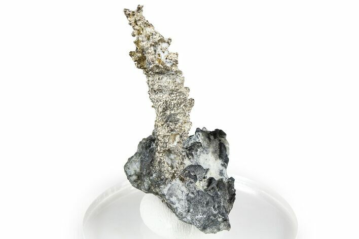 Native Silver in Calcite - Morocco #368320